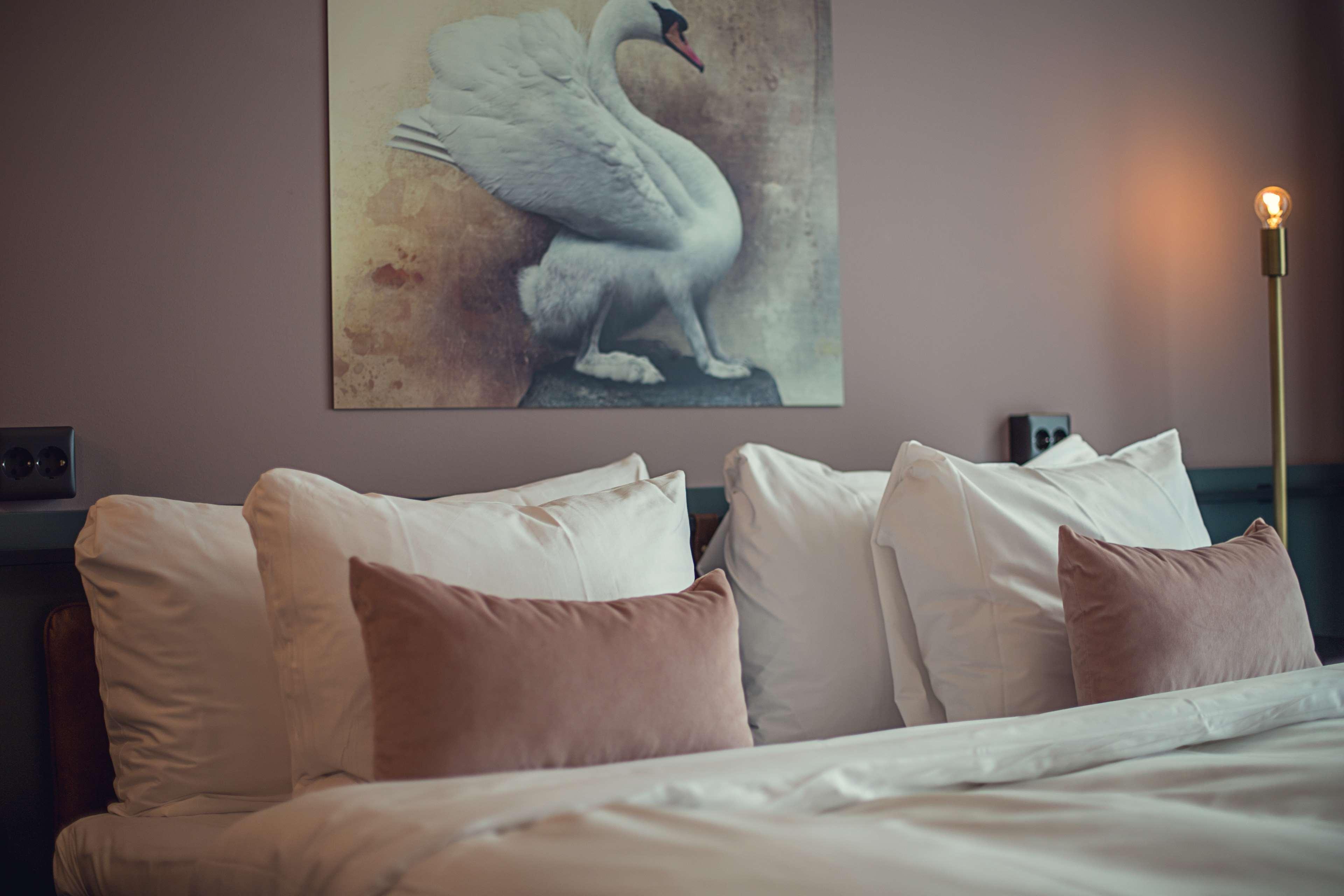 Best Western Plus Fort Worth Forest Hill Inn & Suites Exteriör bild