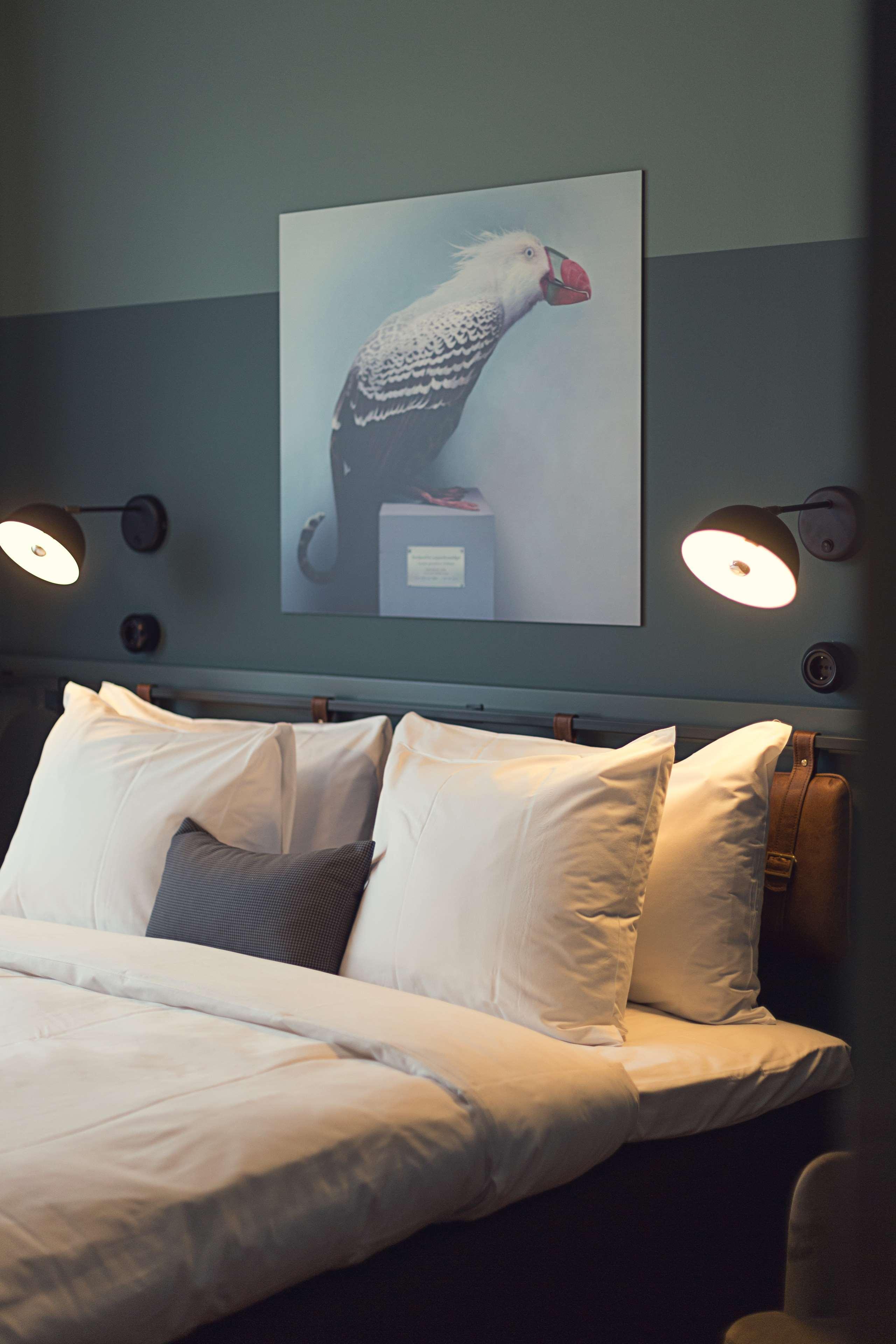 Best Western Plus Fort Worth Forest Hill Inn & Suites Exteriör bild